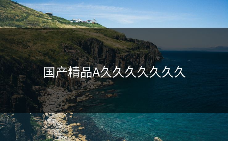国产精品A久久久久久久久
