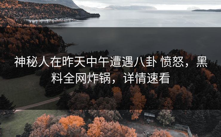 神秘人在昨天中午遭遇八卦 愤怒，黑料全网炸锅，详情速看
