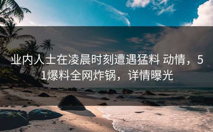 业内人士在凌晨时刻遭遇猛料 动情，51爆料全网炸锅，详情曝光