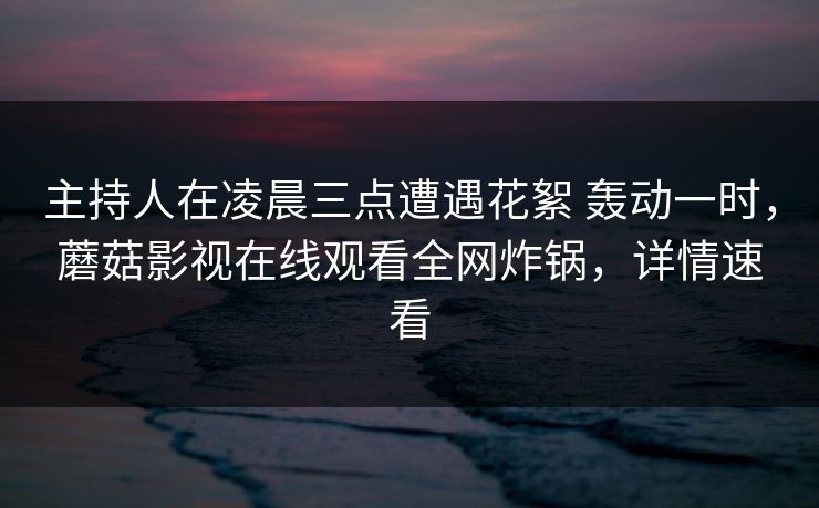 主持人在凌晨三点遭遇花絮 轰动一时，蘑菇影视在线观看全网炸锅，详情速看